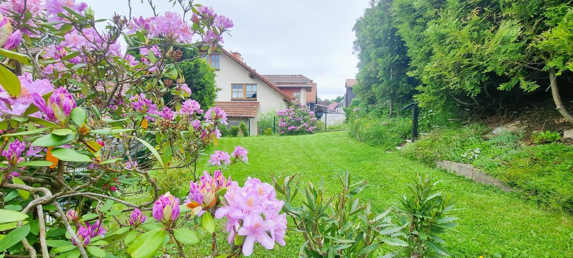 Haus Siggi Villa Браунлаге Екстериор снимка